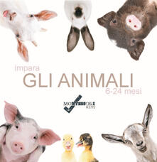 Impara gli animali. Ediz. illustrata.pdf