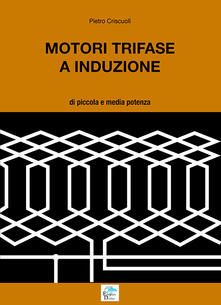 Motori trifase e induzione. Di piccola e media potenza.pdf