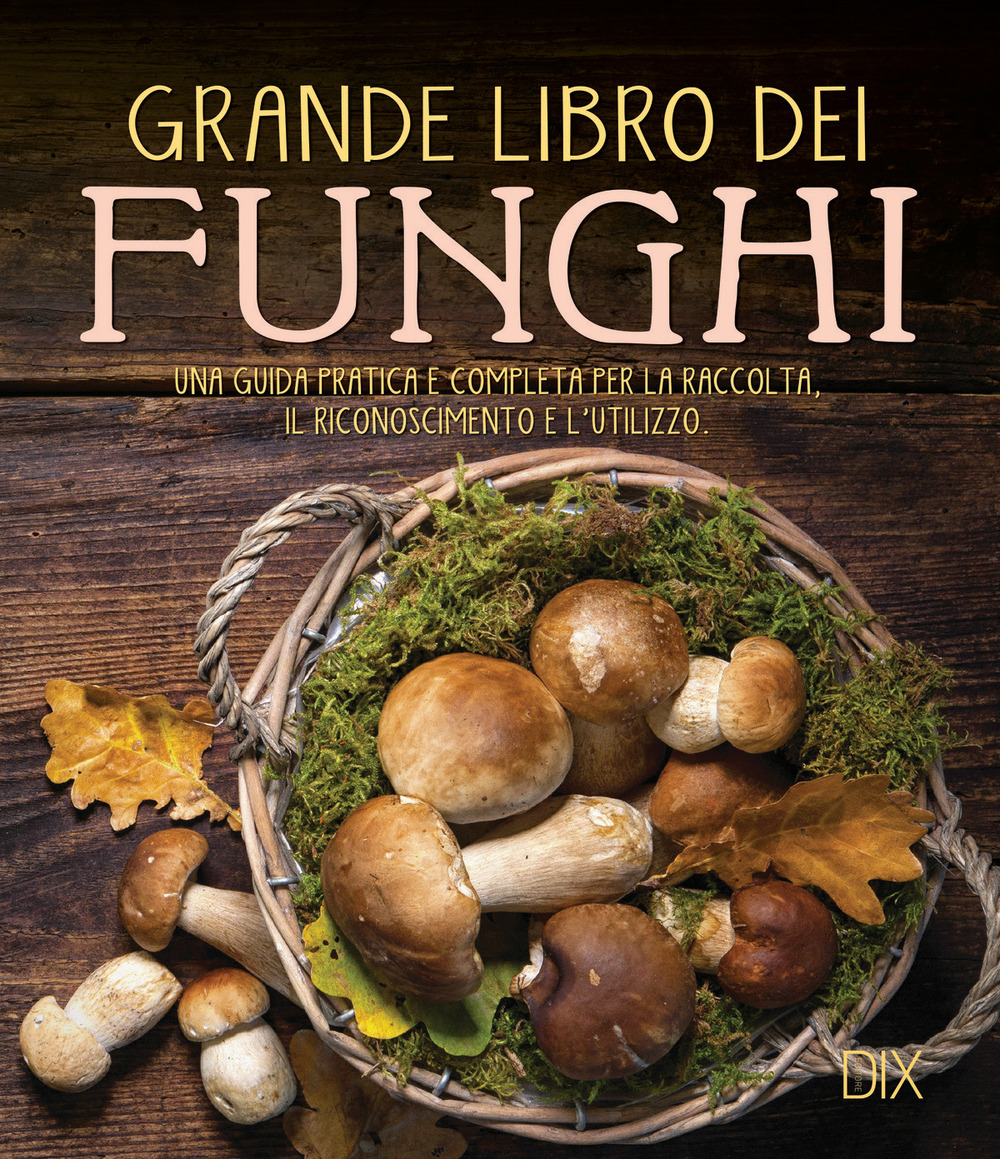 Image of Grande libro dei funghi. Una guida pratica e completa per la raccolta, il riconoscimento e l'utilizzo