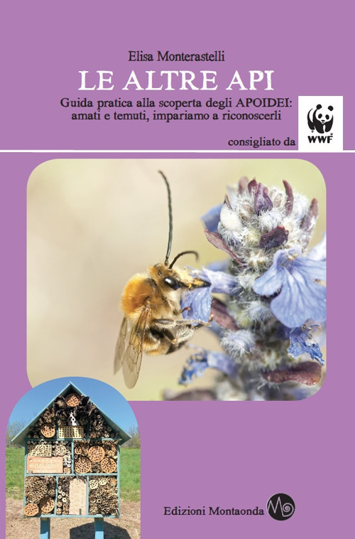 Image of Le altre api. Guida pratica alla scoperta degli apoidei: amati e temuti, impariamo a riconoscerli