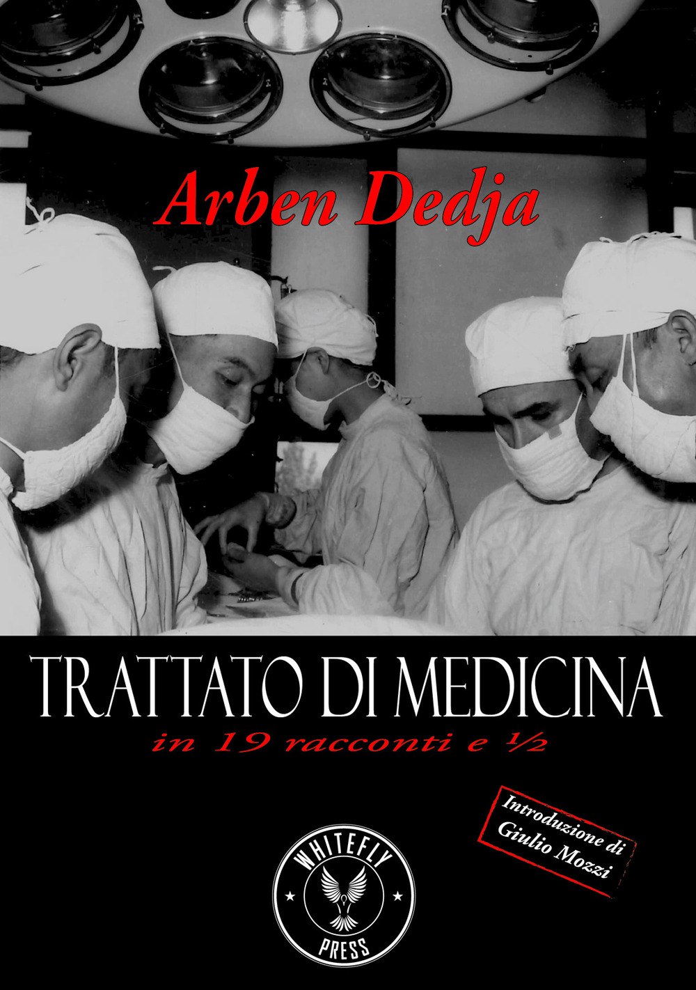 Image of Trattato di medicina in 19 racconti e ½