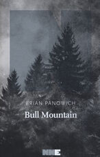 Libro Bull Mountain Brian Panowich
