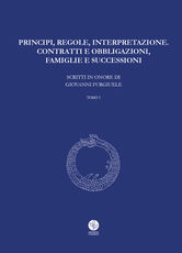Libro Principi, regole, interpretazione. Contratti e obbligazioni, famiglie e successioni. Scritti in onore di Giovanni Furgiuele