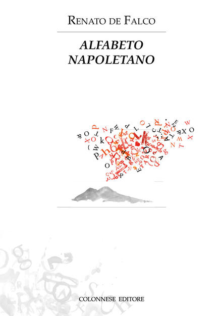 Poesie Di Natale Per Bambini In Napoletano.Alfabeto Napoletano Renato De Falco Libro Colonnese Ibs