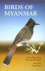 Libro in inglese Birds of Myanmar Kyaw Nyunt Lwin Khin Ma Ma Thwin