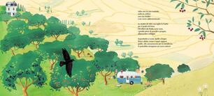 Cielo di ciliegie. Ediz. illustrata - Jef Aerts - Libro - Camelozampa - Le  piume | IBS